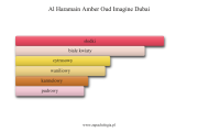 Al Haramain Amber Oud Imagine Dubai - akordy zapachowe