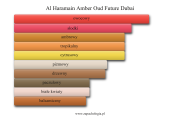 Al Haramain Amber Oud Future Dubai - akordy zapachowe