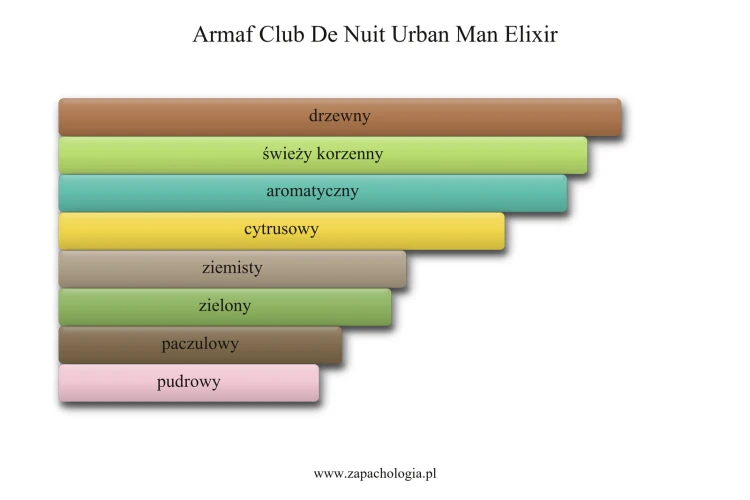 Armaf Club De Nuit Urban Man Elixir - akordy zapachowe