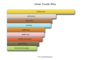 Afnan Turathi Blue - akordy zapachowe