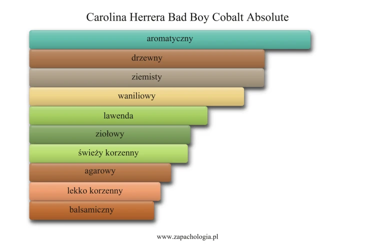 Carolina Herrera Bad Boy Cobalt Absolute - akordy zapachowe