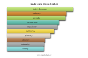Prada Luna Rossa Carbon - akordy zapachowe