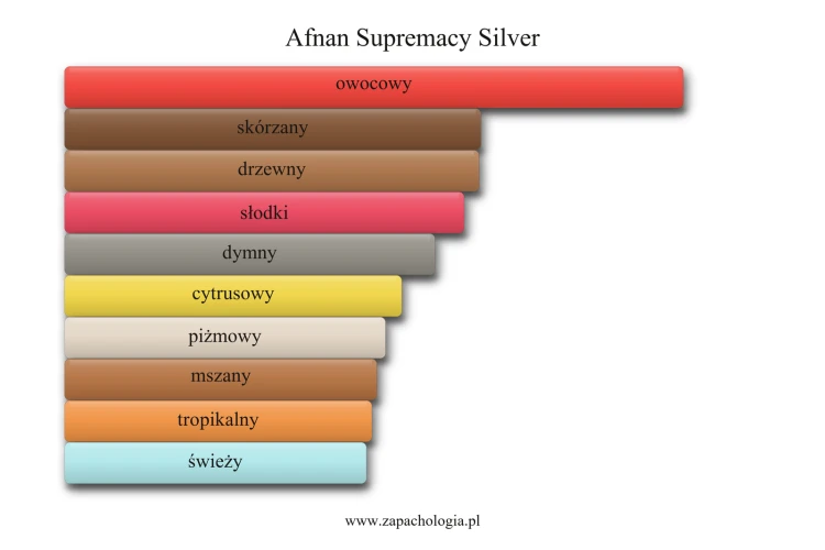 Afnan Supremacy Silver - akordy zapachowe