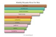 Khadlaj Shiyaaka Silver For Men - akordy zapachowe