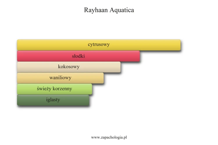 Rayhaan Aquatica - akordy zapachowe