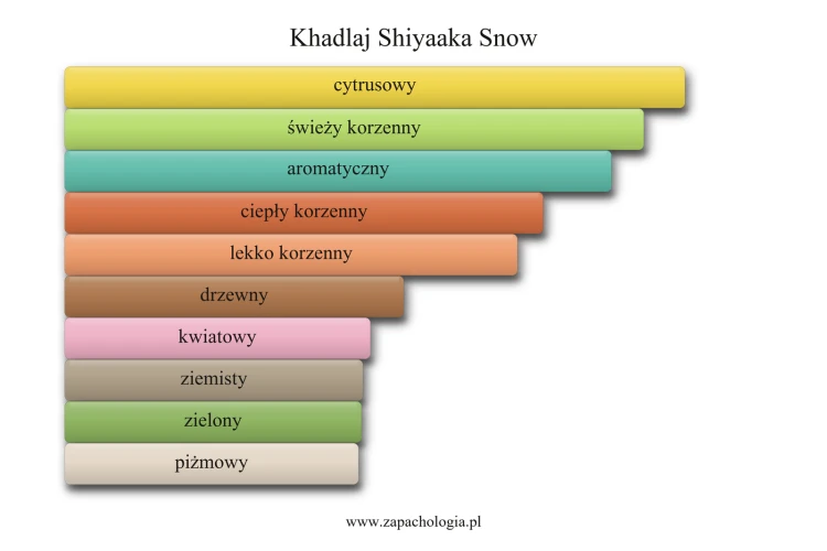 Khadlaj Shiyaaka Snow - akordy zapachowe