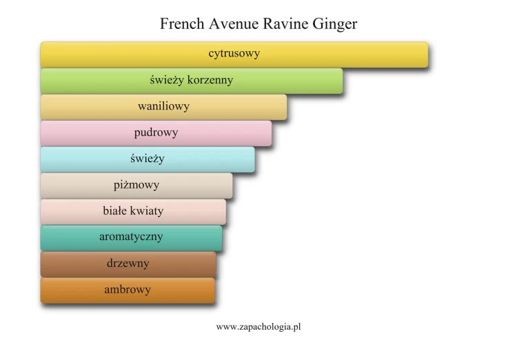 French Avenue Ravine Ginger - akordy zapachowe