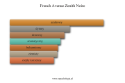 French Avenue Zenith Noire - akordy zapachowe