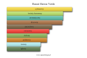 Rasasi Hawas Verde - akordy zapachowe