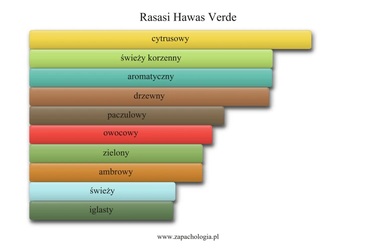Rasasi Hawas Verde - akordy zapachowe