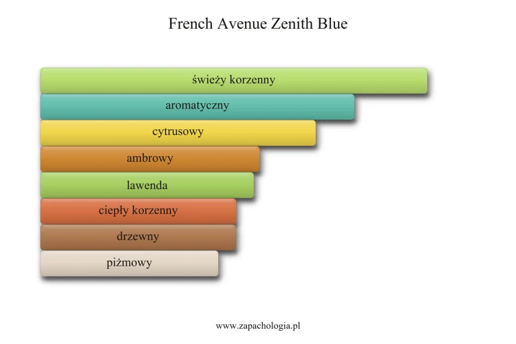 French Avenue Zenith Blue - akordy zapachowe