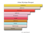 Afnan Mystique Bouquet - akordy zapachowe
