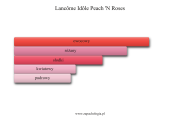 Lancôme Idôle Peach 'N Roses - akordy zapachowe