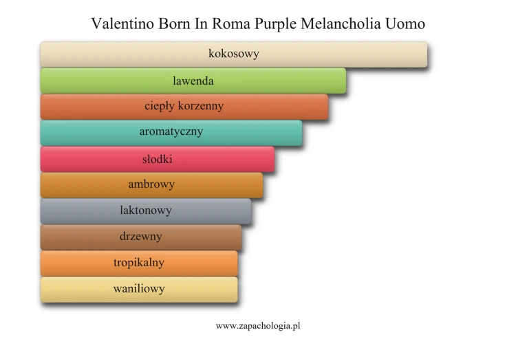 Valentino Born In Roma Purple Melancholia Uomo - akordy zapachowe