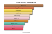 Armaf Odyssey Homme Black - akordy zapachowe