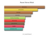Rasasi Hawas Black - akordy zapachowe