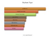 rayhaan_tiger.png