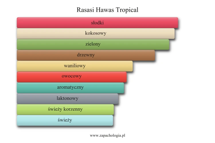 Rasasi Hawas Tropical - akordy zapachowe