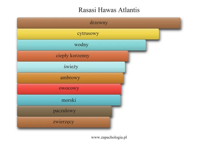 Rasasi Hawas Atlantis - akordy zapachowe