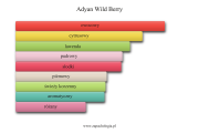 Adyan Wild Berry - akordy zapachowe