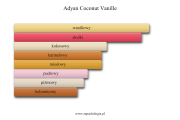 Adyan Coconut Vanille - akordy zapachowe