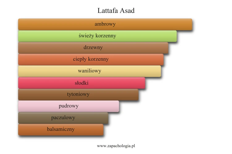 Lattafa Asad - akordy zapachowe