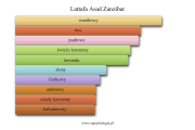 Lattafa Asad Zanzibar - akordy zapachowe