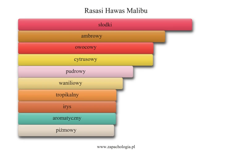 Rasasi Hawas Malibu - akordy zapachowe