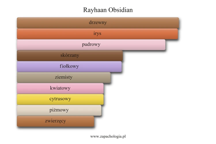 Rayhaan Obsidian - akordy zapachowe