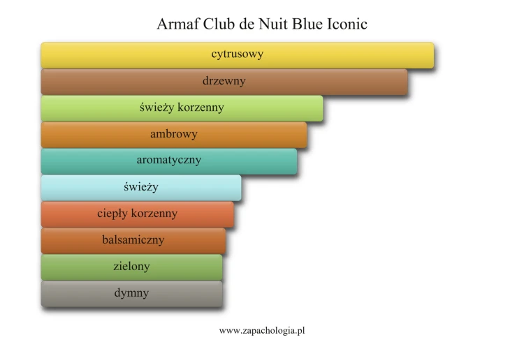 Armaf Club de Nuit Blue Iconic - akordy zapachowe