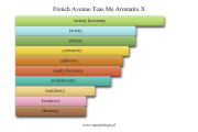 French Avenue Teas Me Aromatix X - akordy zapachowe