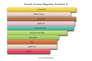 french_avenue_magnetiq_aromatix_x.png