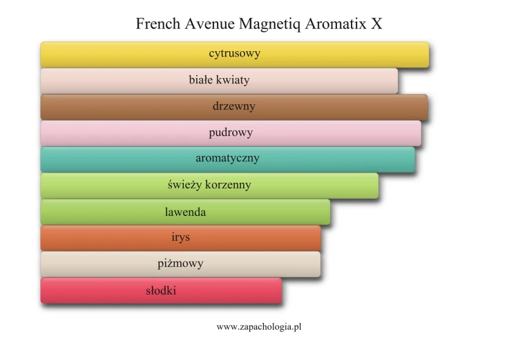 French Avenue Magnetiq Aromatix X - akordy zapachowe