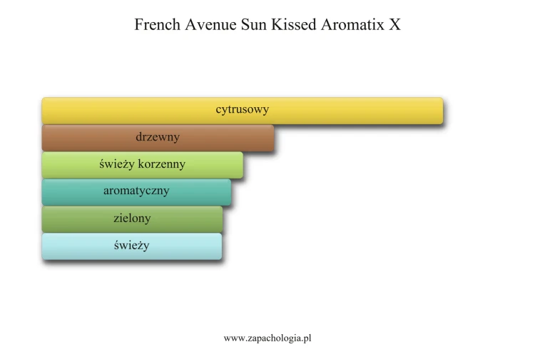 French Avenue Sun Kissed Aromatix X - akordy zapachowe