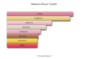 Mancera Roses Vanille - akordy zapachowe