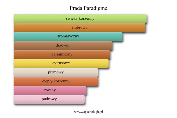 Prada Paradigme - akordy zapachowe