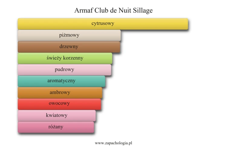 Armaf Club de Nuit Sillage - akordy zapachowe