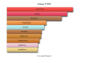 Afnan 9 PM - akordy zapachowe