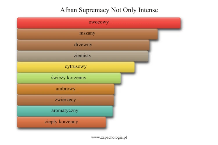 Afnan Supremacy Not Only Intense - akordy zapachowe