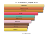 Paris Corner Mawj Cognac Blaze - akordy zapachowe