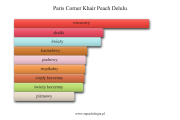 Paris Corner Khair Peach Delulu - akordy zapachowe