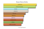 Rasasi Hawas Kobra - akordy zapachowe