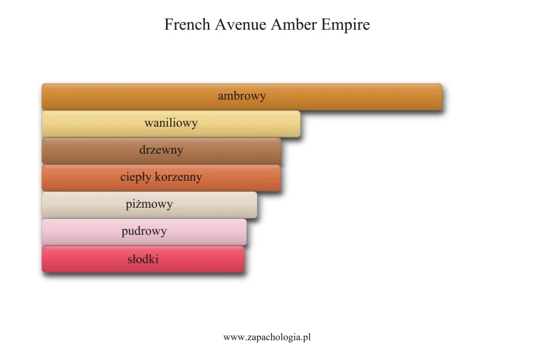 French Avenue Amber Empire - akordy zapachowe