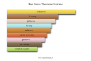 Rue Broca Theoreme Homme - akordy zapachowe