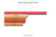 Armaf Odyssey Black Forest - akordy zapachowe