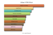 Afnan 9 PM Elixir - akordy zapachowe