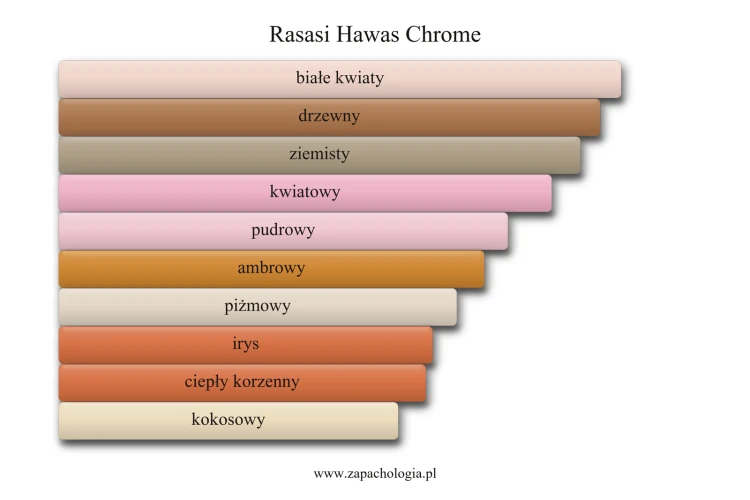 Rasasi Hawas Chrome - akordy zapachowe perfum męskich