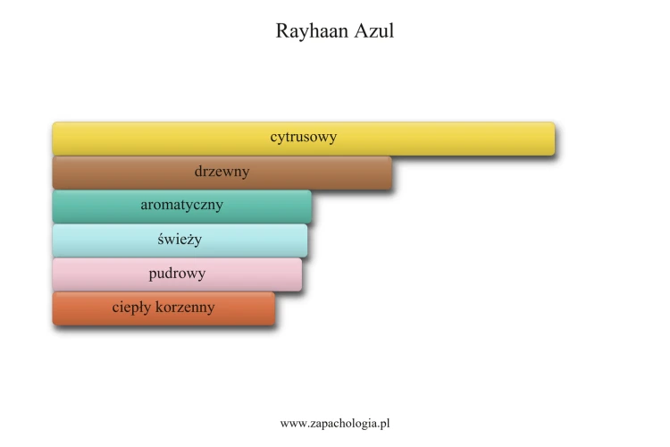 Rayhaan Azul - odlewka perfum męskich 1ml-30ml, cytrusowo-wodny zapach