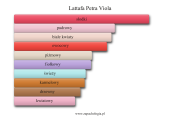 lattafa_petra_viola_akordy.png