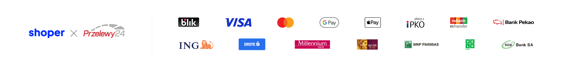 https://cdn.prod.shoper.cloud/wp-content/uploads/2024/04/platnosci_skrocone.png